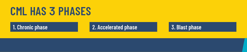 CML has three phases